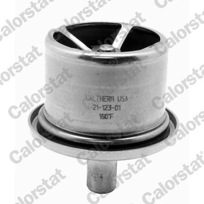 Thermostat, coolant